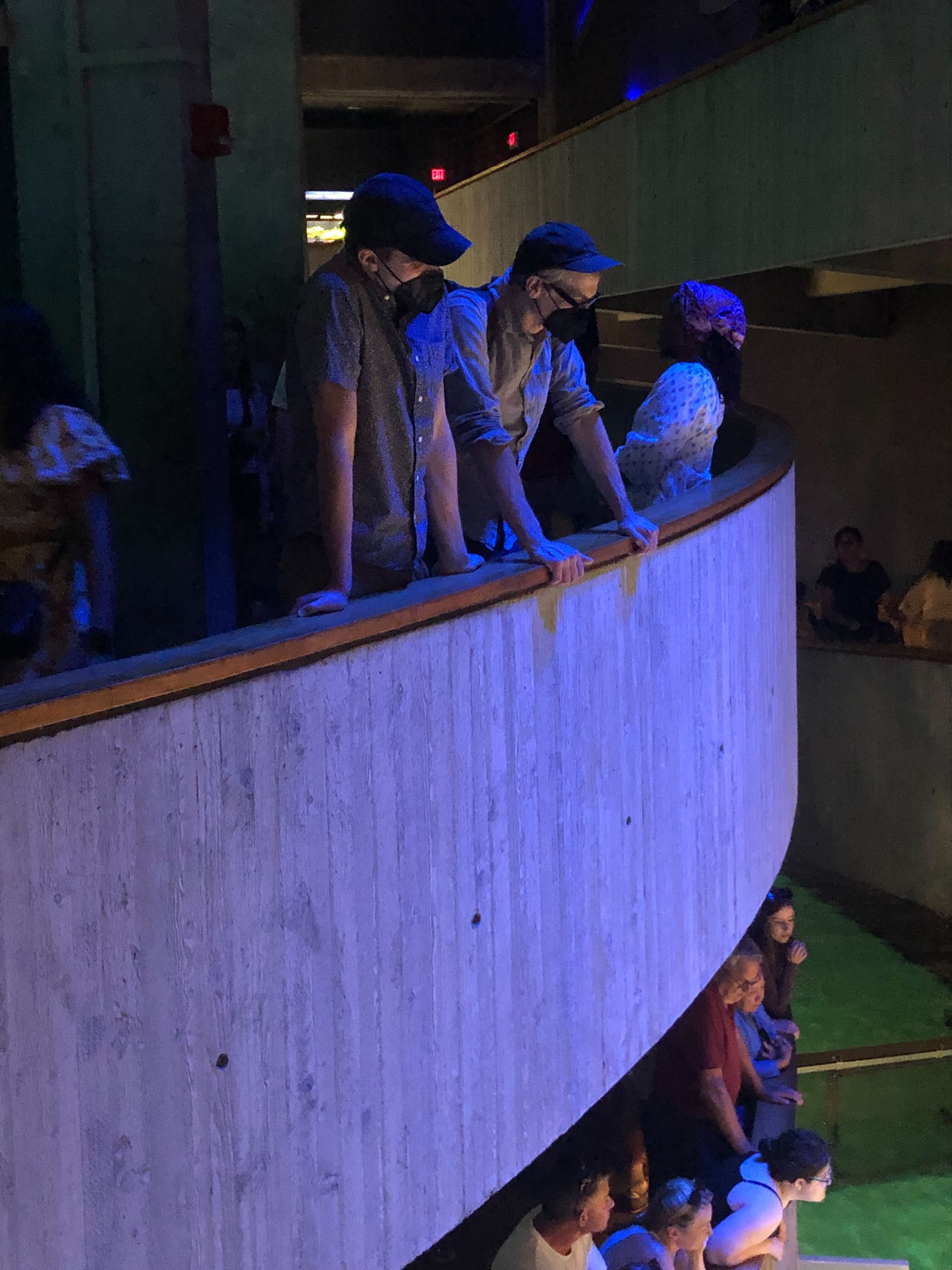 Paul and Mark stand on an upper level to watch the penguins (out of shot).